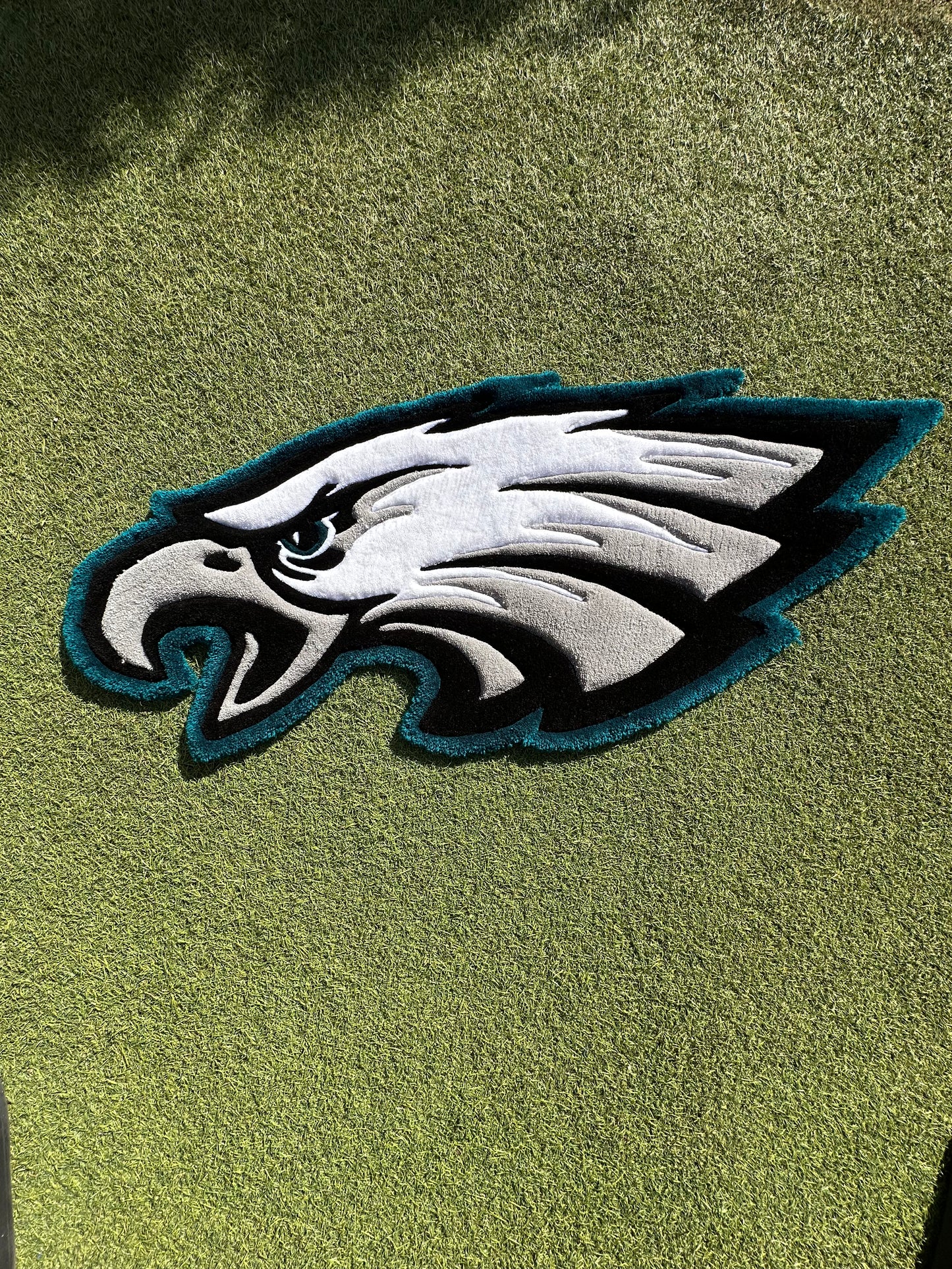 Eagles Rug Super Bowl Champs '25