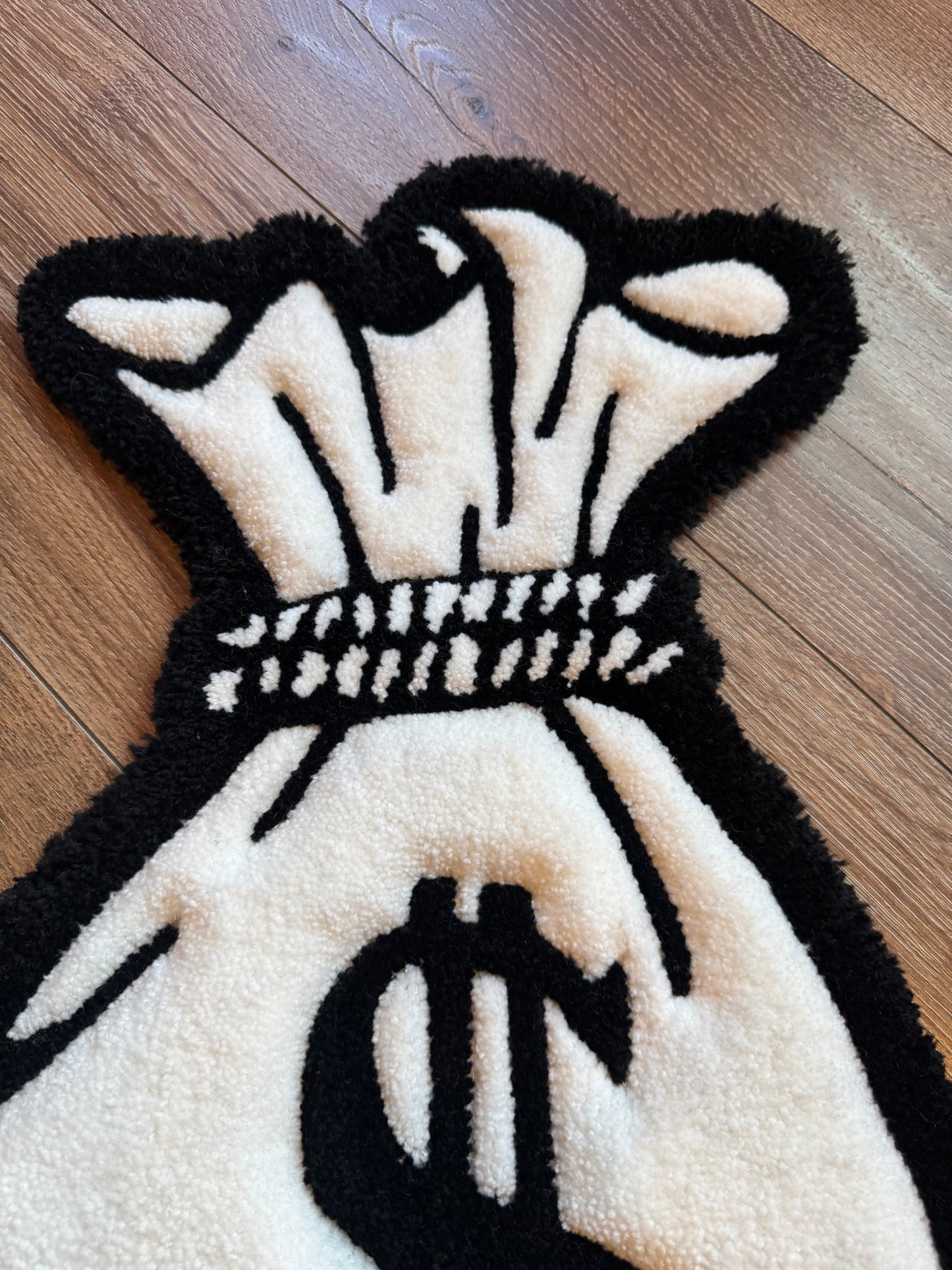 Money Bag Rug